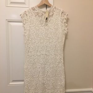 Anthropologie Velvet lace dress
